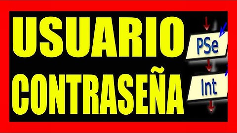 usuario y contraseña pseint