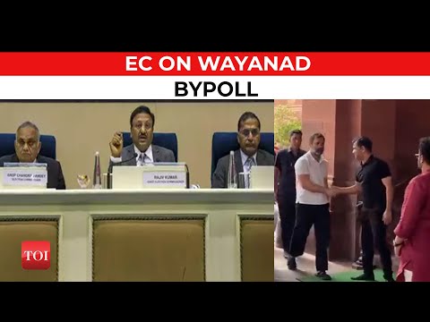 Rahul Gandhi disqualification | Election Commission says no hurry for Wayand bypoll