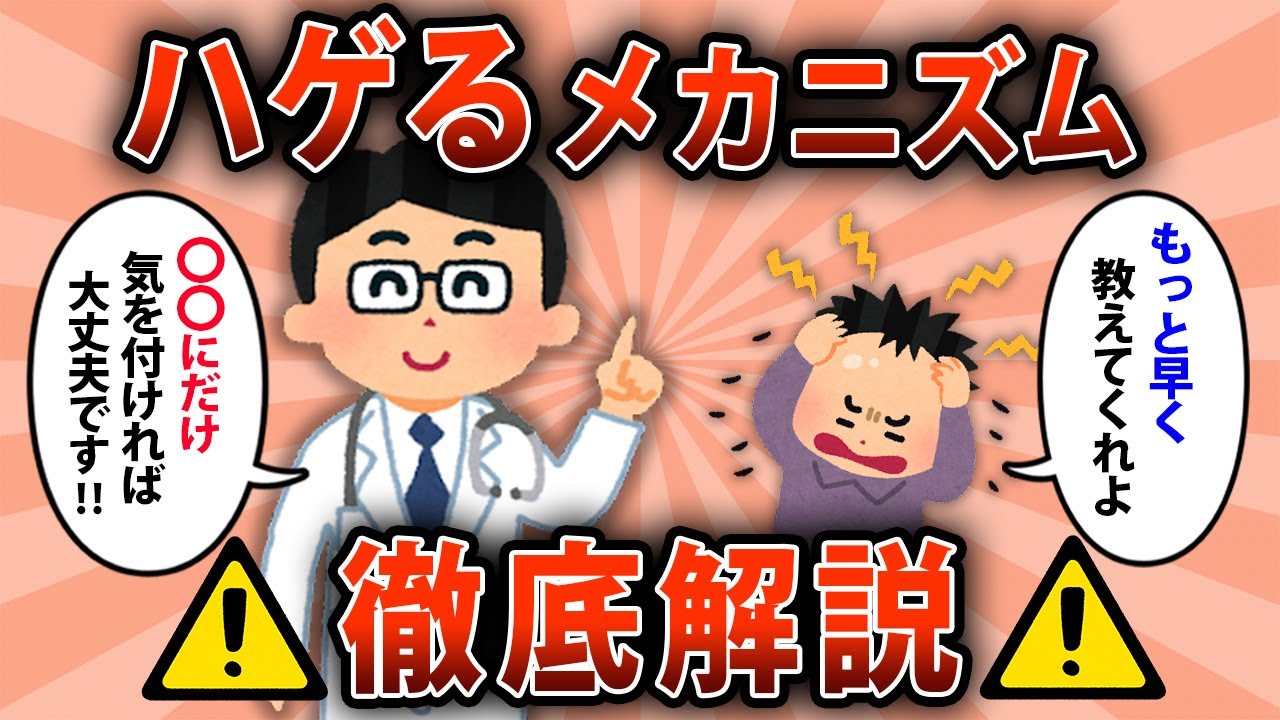 【2ch有益スレ】「これ知らなかったら将来ハゲてた…」ハゲるメカニズムと予防策を徹底解説【ゆっくり解説】