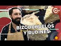 BIZCOCHUELOS Y BUDINES CASEROS