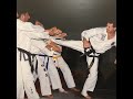 Master and student taekwondo georgios papadiotis  bantis achilleas