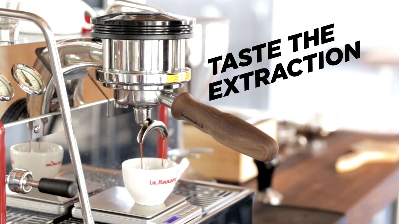 Taste the Extraction | ChefSteps