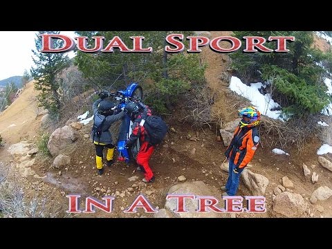 motovlog name Gold Camp Rd - Dual Sport In A Tree