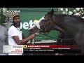 Woodbine, Tbred, September 19, 2026 Race 5 | Woodbine Horse Race Replay