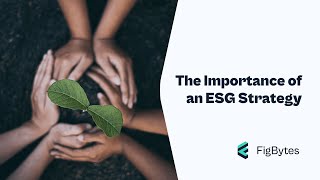 The Importance of an ESG Strategy