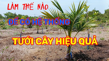 Cải tạo béc cánh đập qua béc tưới x60l.