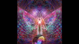 «RECEPTION», William Rosati. HD