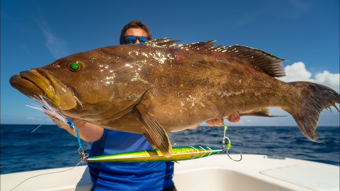 Angler Fillets Potential Record Grouper 
