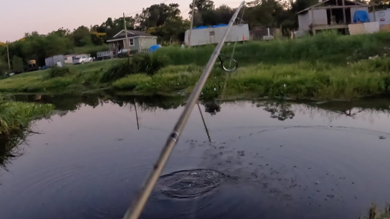 Summer Fatigue Hanging On, Fishing For Whatever