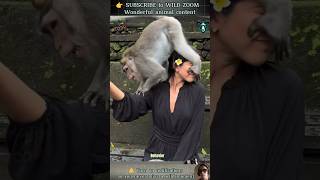 18 Amazing Animal Clips You Must See Wild Zoom