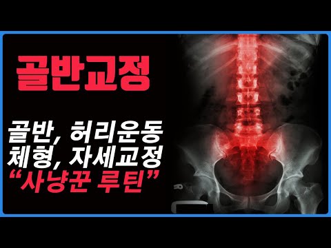 골반교정/ 체형교정/ 자세교정 가장 기본적으로 해야 하는 운동! 골반통증, 허리통증, 엉덩이통증에서 벗어나시길^^