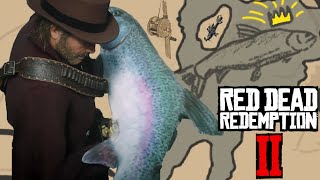 Efsanevi Balık Nasıl Avlanır Yakalanır? 2024 / How To Catch Legendary Fish / Red Dead Redemption 2 screenshot 1