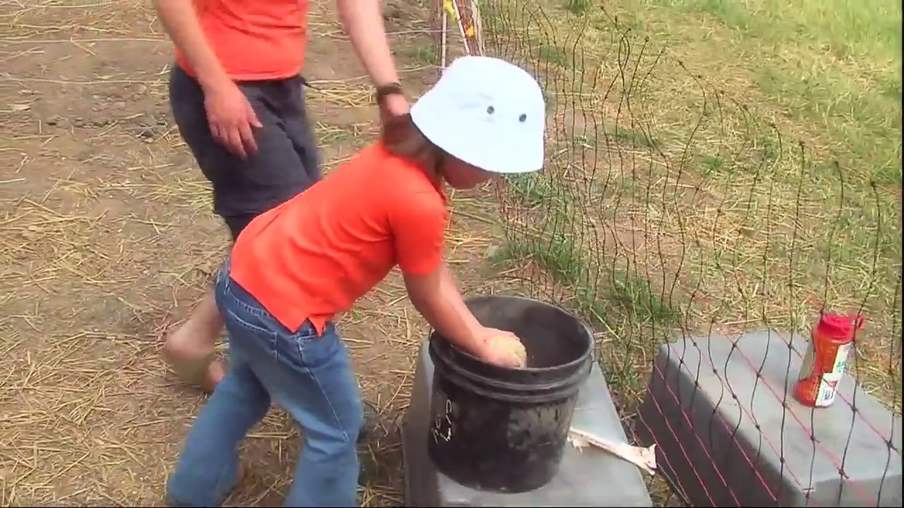 This Is Emily Yeung Learning About Chickens