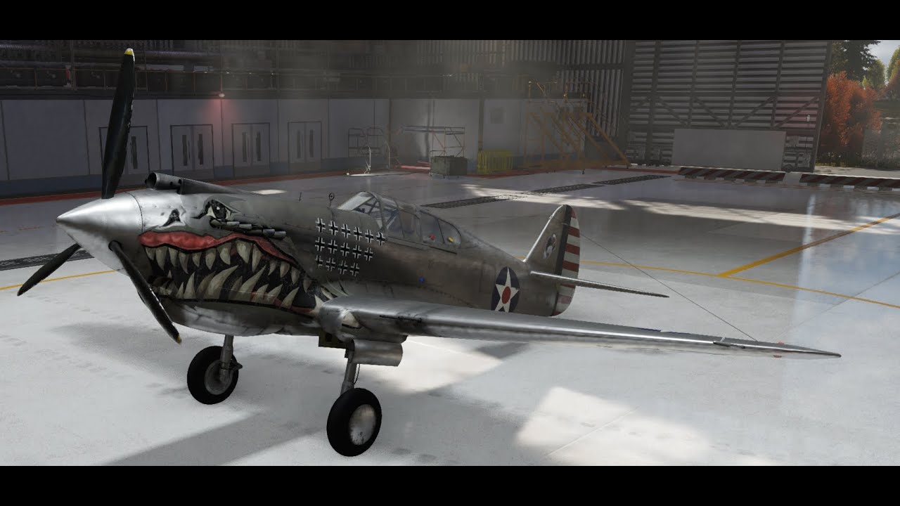 The Warhawk is Amazing! (Warthunder)