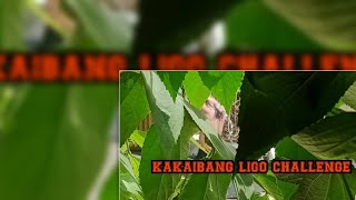 Ligo Challengechallenge Accepted..