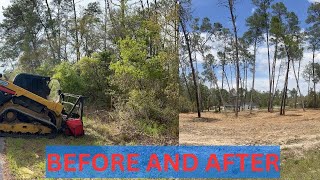 New Landowner wanted our CAT 299D3 XE & Fecon Blackhawk to clear his land in Florida by The Tree Shop 2,101 views 2 weeks ago 26 minutes