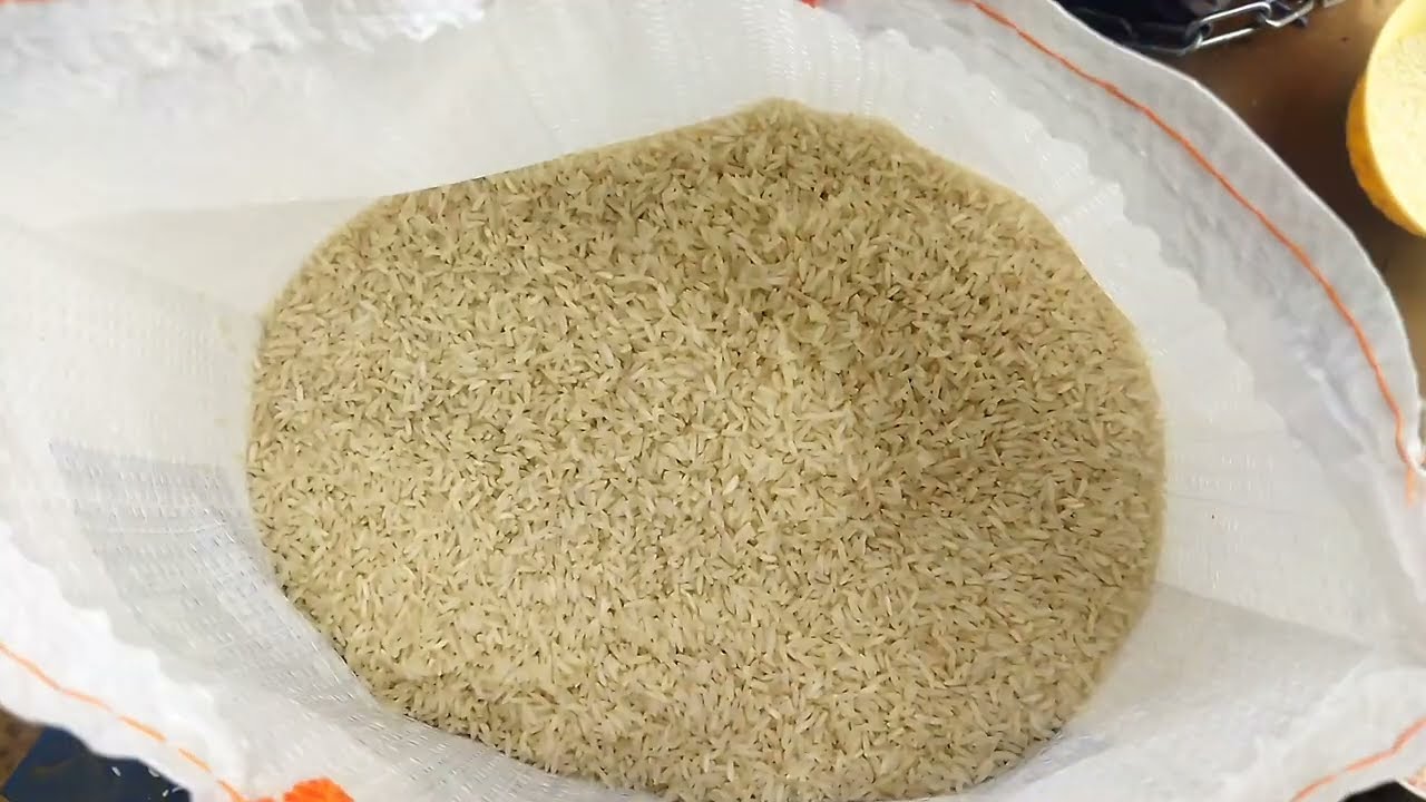 From Field to Table: Unraveling the Journey of Pishori Rice, from Purchase to Milling Mastery!