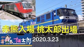【4K/甲種輸送】DF200-107入場 & EF210-317(キャラ桃2機目)出場 川崎重工 2020.3.23