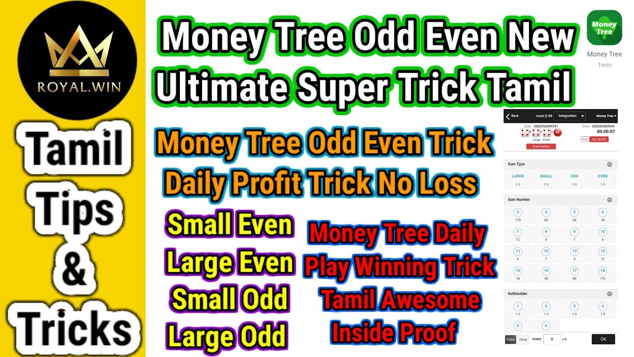 Money Tree Odd Even Trick Tamil|Royal Win Money Tree Odd Even Tricks|Royal Win Tricks Tamil|Odd Even