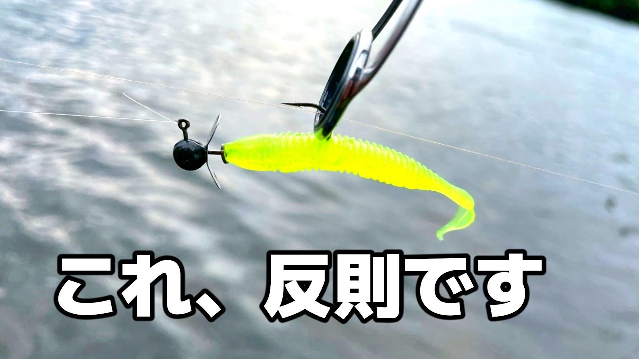 【誰でもできる】とにかく釣れるリグと巻き方を見つけました