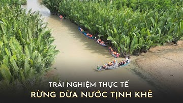Rừng dừa nước Tịnh Khê - Trải nghiệm thực tế không kịch bản cùng Phúc Trịnh BĐS