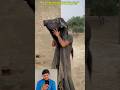 😂🐃 Man Becomes a Buffalo?! Drinks Milk Like One – Shocking Twist for Poor Farmer! 💔#viral #funny #yt
