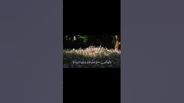 الأحزاب|[56] القارئ|محمدأيوب رحمه الله    #أن_الله_وملائكتة_يصلون_على_النبي #الجمعه