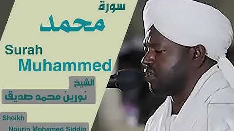 الشيخ نورين محمد صديق سورة  محمد  Sheikh | Nourin Mohamed Siddig |Surah Muhammed