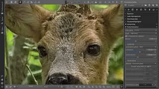 Denoising with RawTherapee 5.9 and 5.10