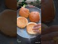 Curd Vegetables Burger 🍔 #ytshorts #shorts #food #cooking #tasty #recipe #minivlog #burgerrecipe