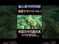 【無人島サバイバル】巨大な謎の貝が美味すぎた!!!#0円生活#漁師#素潜り#キャンプ