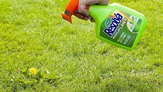 5 Best Weed Killers For Lawns Review In 2023 | Are They Worth Buying?