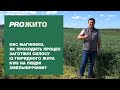 КВС МАГНІФІКО. Як проходить процес заготівлі силосу із гібридного жита KWS на півдні Хмельниччини