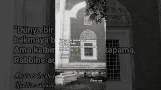 Dünya Bir Penceredir...