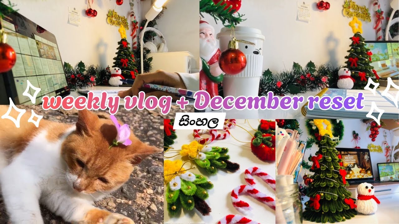 Weekly vlog + December reset 🌲🎅✨️ සිංහල #christmas #reset #vlogmas #study #dayvlog #unboxing 
