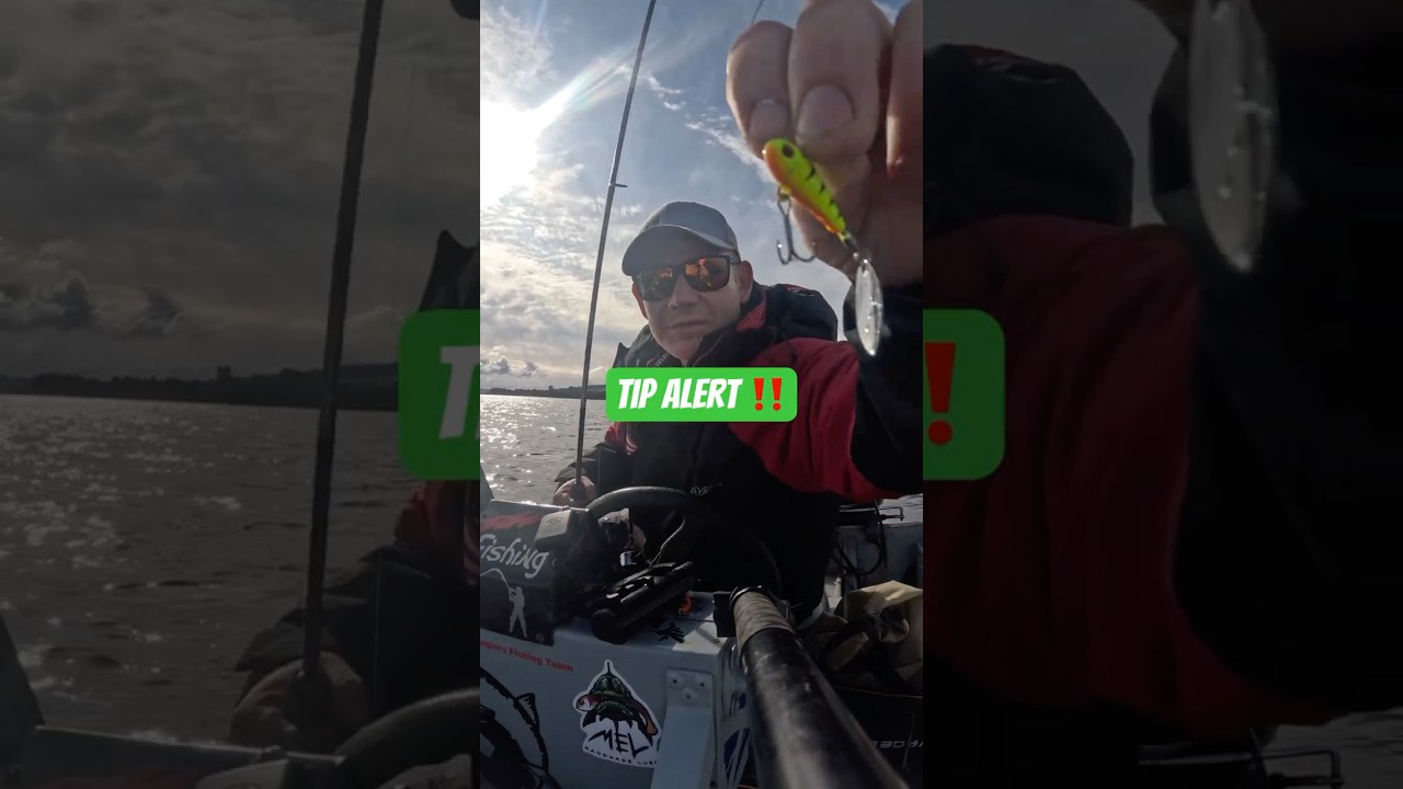 Tip for perch fishing. 