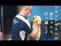 【海遊館】ワモンアザラシの赤ちゃんと引っ越し②（2021.5.6）