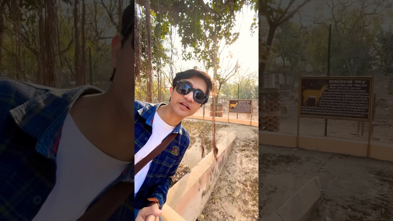 🦌Black deer in Varanasi Zoo | Sarnath zoo | #36 | Shridharam