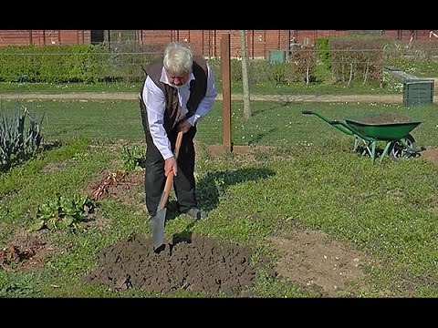 Vidéo: Ai-je besoin d'une couche arable de gazon ?