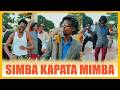 NDARO X STEVE SIMBA KAPATA MIMBA OFFICIAL MUSIC VIDEO 