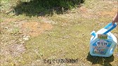 コケ 苔 対策 芝生 西洋芝 庭 苔 撃退法 芝 Lawn Restoration Moss Control Youtube コケ 苔 対策 芝生 西洋芝 庭 苔 撃退法 芝 Lawn Restoration Moss Control Youtube