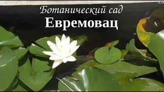 Ботанический сад Евремовац. Сербия. Белград сербия белград