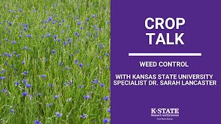 CropTalk Weed Control With Kansas State University Specialist Dr. Sarah Lancaster