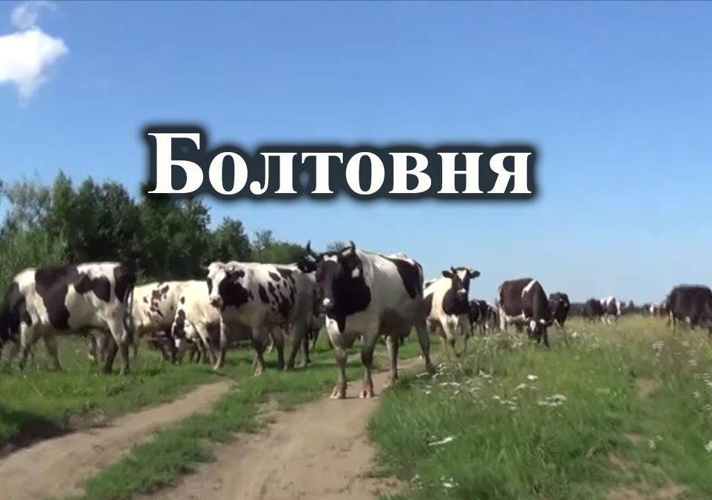 Корова волга рекордсменка