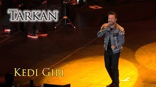 Tarkan - Kedi Gibi (14.05.2019) Resimi