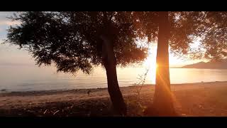 Download Lagu Bali - The morning in Pemuteran MP3