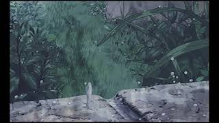 WHY WE EVER - HAYLEY WILLIAMS (While it's rainning outside)