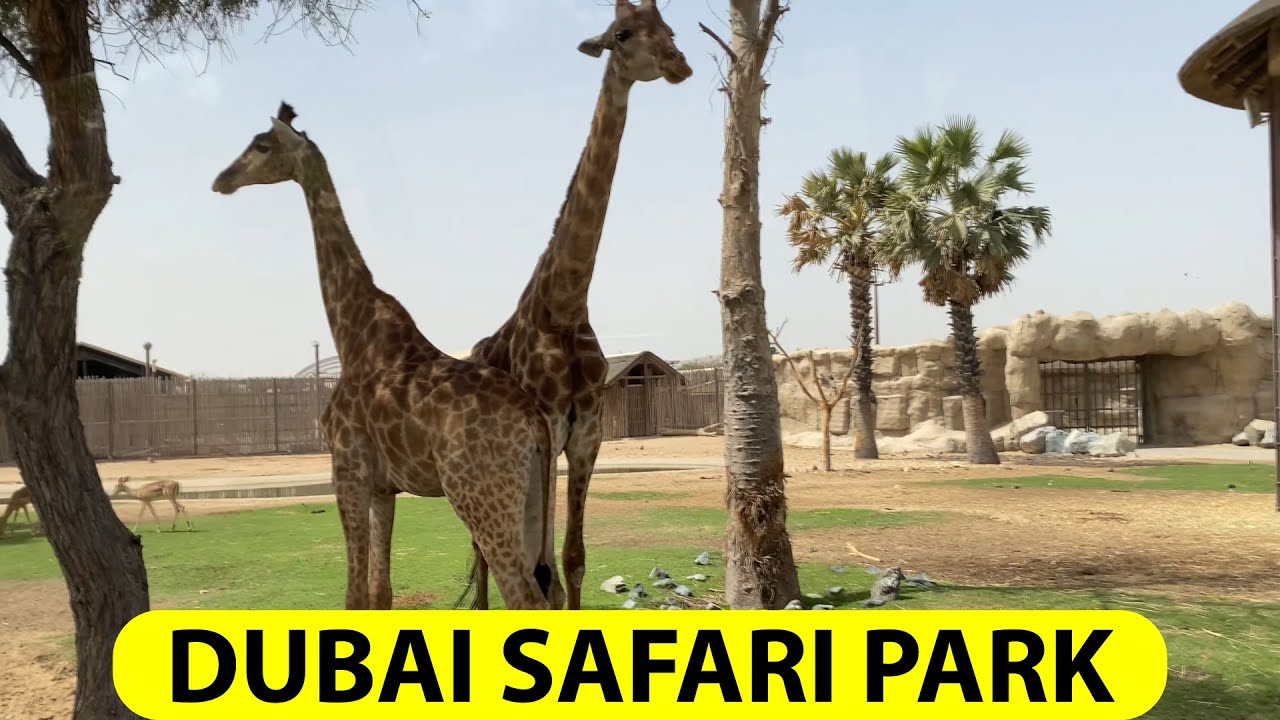 Dubai Safari Park 2022 | Tourist Attraction | Places To Visit Dubai