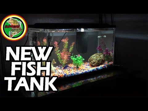We Got A BIGGER Tank!!! (10 Gallon Unboxing And Setup)