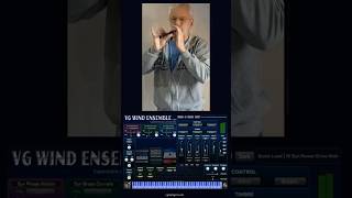 VG Wind Ensemble Virtual Instrument VST AU plugin, WARBL2 Controller. Acoustic and Synth voices.